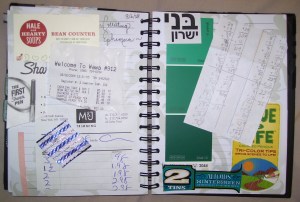 Preserving the Ephemera of the Summer of 2008