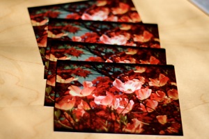 notecards300px Karrie Welborn Photos: Set of Four Notecards