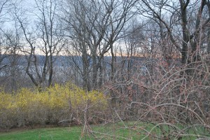 3419232589_5aa9c8e762 Photo By Bonnie