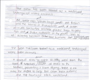 Sara Rehearsal Slips