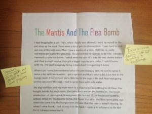 Photo 02 Student Writing