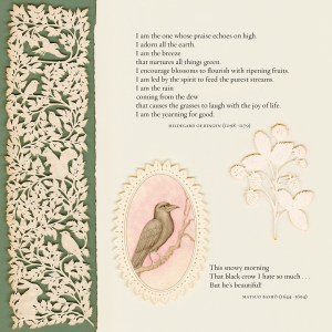 Click on the image to enlarge.