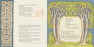 Click on the image above to enlarge.