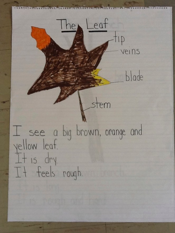 Shared Writing 101: A Crash Course in Writing Together – TWO WRITING ...