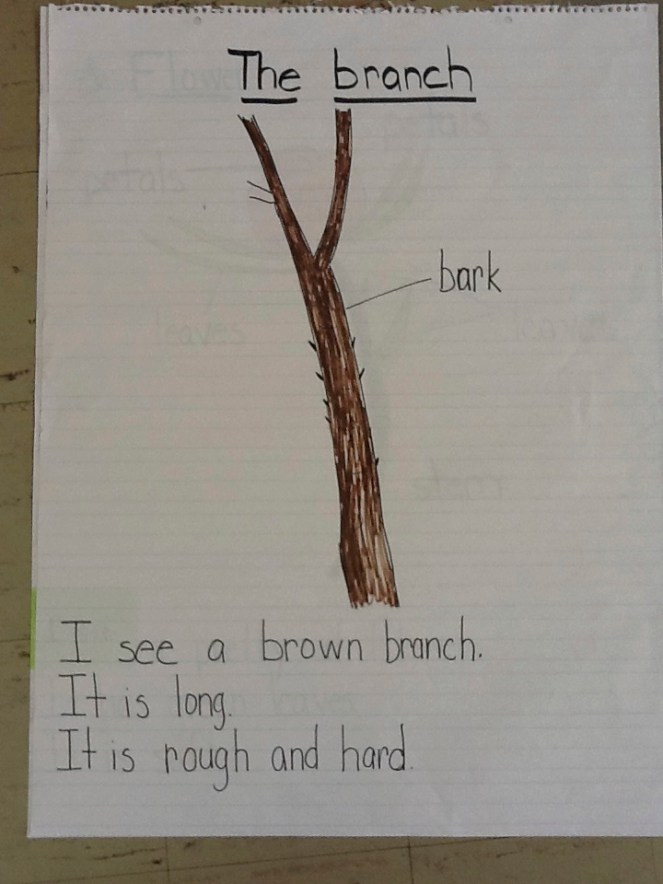 Shared Writing 101: A Crash Course in Writing Together – TWO WRITING ...