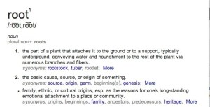 roots noun