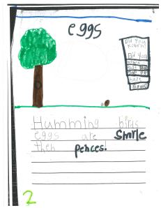 This student compared two things.  Hummingbirds' eggs are smaller than pencils, she wrote.