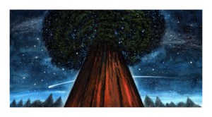 Click on the image to enlarge.