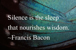 butterfly-199018_1280