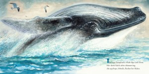 Click on the image to enlarge.