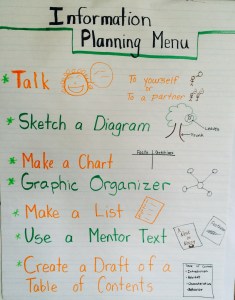 information planning menu