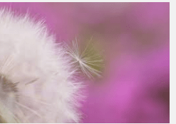 Screen Shot 2016-04-24 at 10.24.13 PM