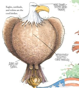 Nerdy Birdy Interior Spread 2