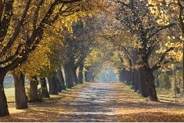 Screen Shot 2016-07-28 at 1.06.11 PM