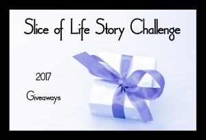 sol17-giveaway-image