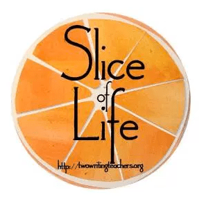 screen-shot-2017-03-14-at-1-30-42-pm15