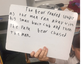 Screen Shot 2017-12-02 at 6.23.11 AM