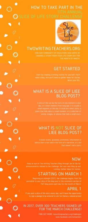 2018 11TH ANNUAL SOLSC INFOGRAPHIC #TWTBlog