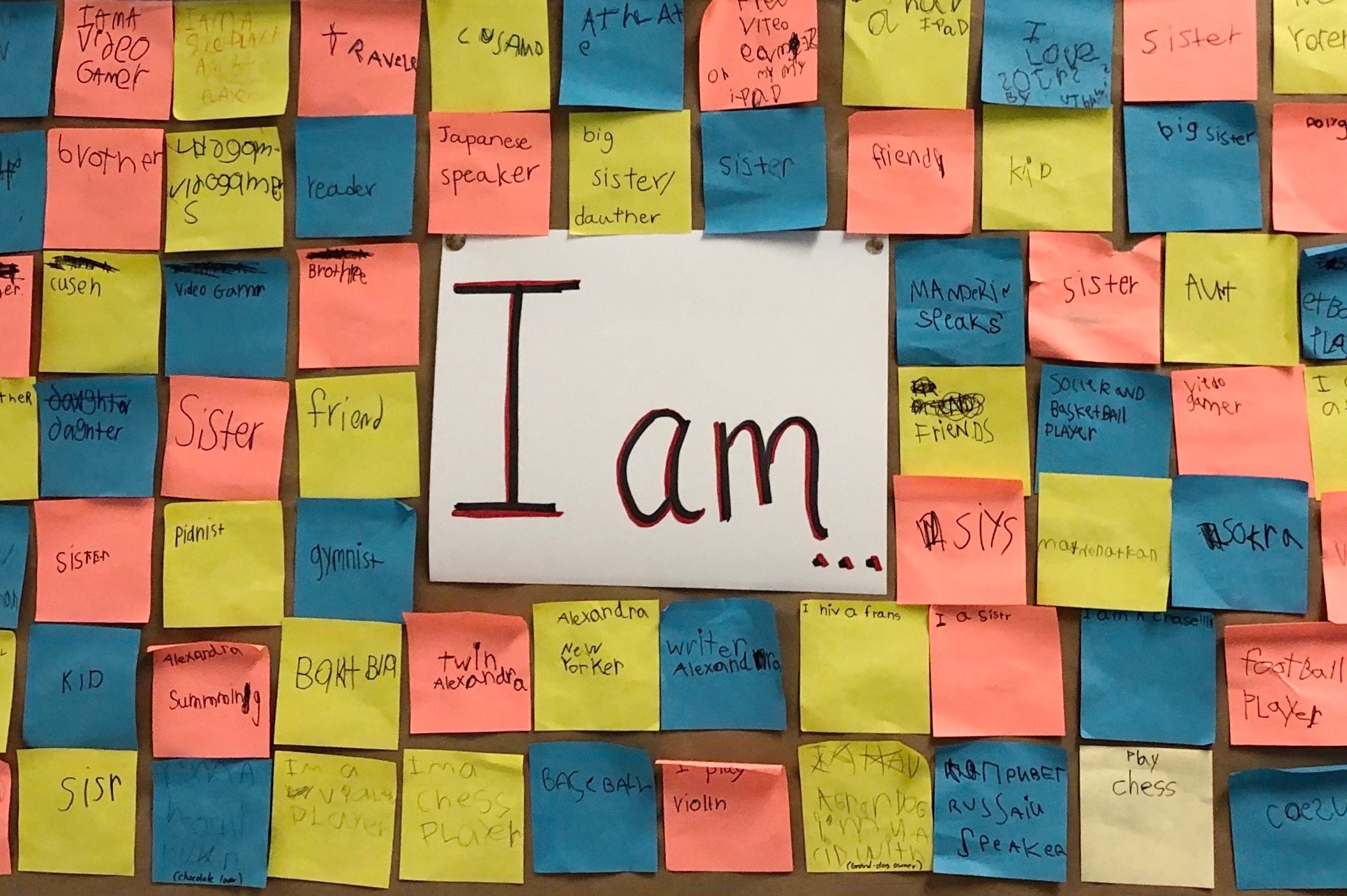 c488a4e9-0930-4de3-a37c-958a924e8694