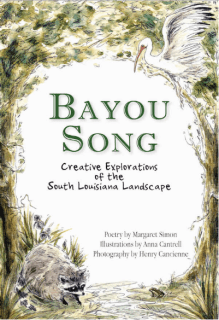 Screen Shot 2019-02-05 at 8.51.12 PM