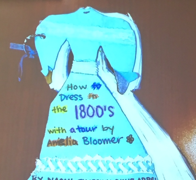 1800s dress cover