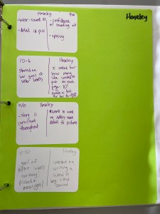 A binder page for one student, with conferring note stickers from different sessions.