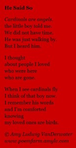 Text of "He Said So," a poem by Amy LV.