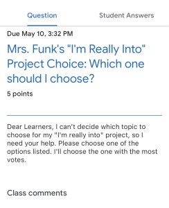 Mrs. Funk's "I'm Really Into" Project Choice: Which one should I choose? A letter to learners.