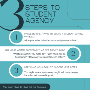 Teal background with navy text. 3 steps to student agency are laid out here (and are located in the main body of the blog post).