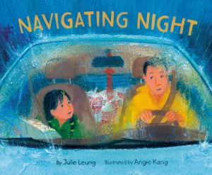 Book cover of Navigating Night.