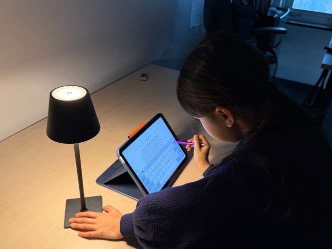 Student working at iPad