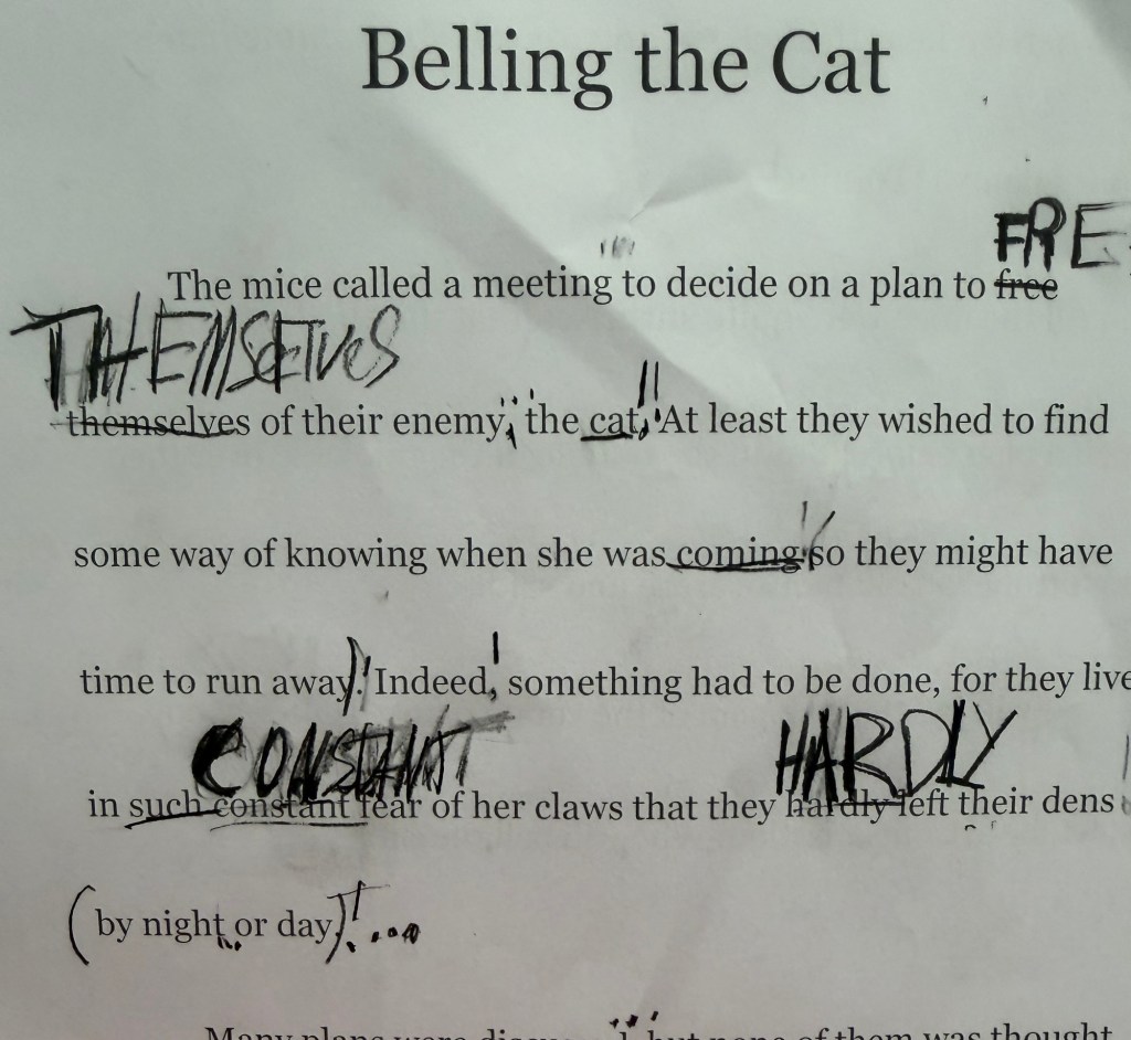 Example of student work