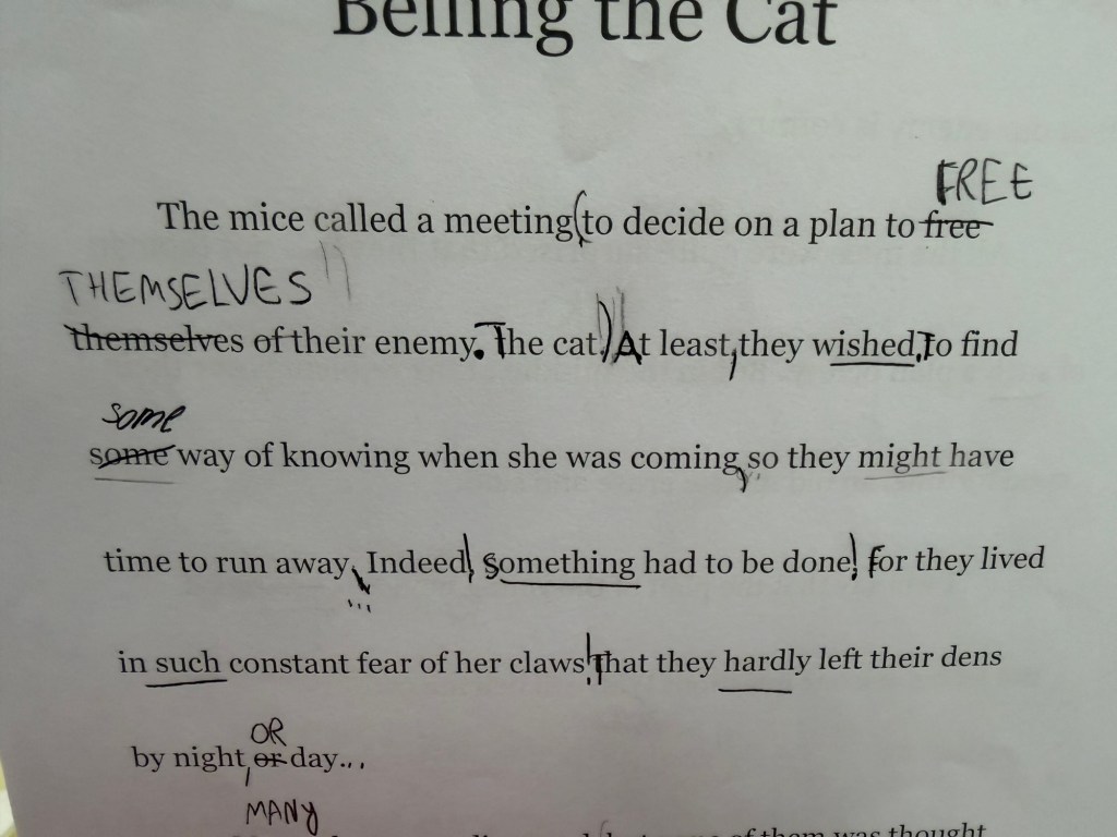 Example of Student Work