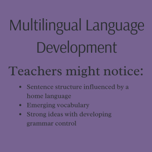 Information related to what a teacher might notice related to multilingual language development.