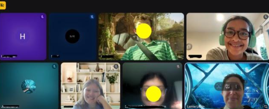 Screen shot of a teacher-student Zoom session